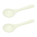 1cc(min)x2個 Takayama ミニ計量スプーン 塩はグラムで量る (食塩 約1g) 園芸 肥料1ml 薬味スプーン