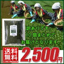 【訳あり】宇和煎茶 130g×10個