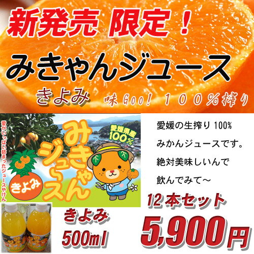 ߤ󥸥塼ߤ500ml12ܥå