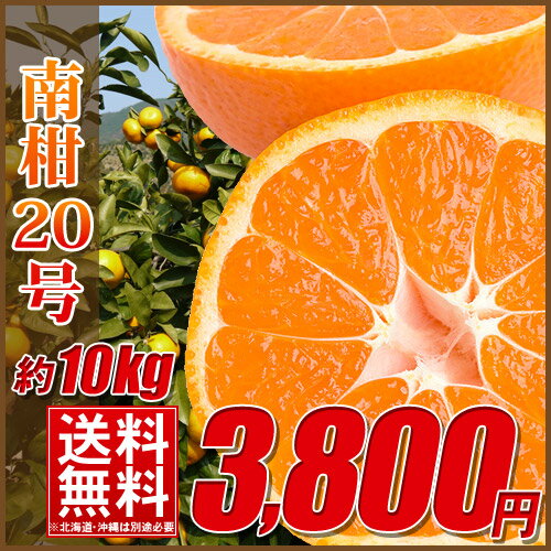 【送料無料】愛媛県産　南柑20号（温州みかん）　10キロ ＊沖縄・北海道・離島の方は別途500円が必要ですのサムネイル