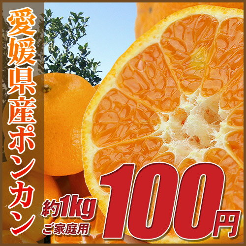 愛媛県「ポンカン」1kg（ご家庭用・小粒サイズ・不揃い）※こちらの商品は送料別商品となります※多少の傷や汚れがある場合がございます。