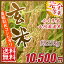 【送料無料】令和4度産新米！愛媛県産コシヒカリ完全一等玄米25kg