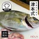 津本式 仕立て師:阿部浩也 愛媛の養殖シマアジ (3枚下ろし、刺身用ブロックなど調理可能)重量約1.2〜1.5kg 養殖 送料無料 兵庫県からの発送 津本式 血...