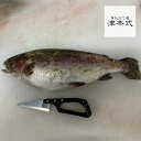 津本式 津本光弘 本人仕立て 究極の血抜き 奥日向サーモン重量 約1.3〜1.7kg 養殖 送料無料 宮崎県から発送 津本式 血抜き 鮮魚 メディア 鮮魚革命 「 著書 究極の血抜き 津本式 」で紹介 刺身 youtube 人気