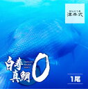 津本式 仕立て師：赤坂竜太郎 白寿真鯛ZERO重量1.8kg前後 養殖 送料無料 愛媛県から発送津本式 血抜き 雑誌 鮮魚