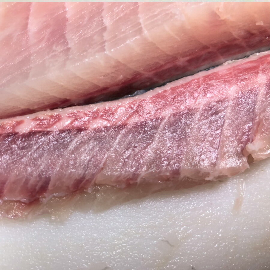 送料無料 養殖 津本式 養殖 仕立て師 阿部浩也 愛媛の養殖シマアジ 血抜き 血抜き 兵庫県からの発送 鮮魚 魚仕立屋 津本式 店究極の仕立て 津本式 雑誌 店 鮮魚食品 津本式 3枚下ろし 刺身用ブロックなど調理可能 重量約1 3 1 5kg 2尾