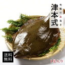 津本式 仕立て師：徳増邦彦 伸東ヒラメ重量約0.8kg 養殖 送料無料 津本式 血抜き 鮮魚 メディア 鮮魚革命 「 著書 究極の血抜き 津本式 」で紹介 刺身 youtube 人気