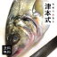 津本式 仕立て師:佐古勝 佐古勝仕立て究極の血抜きシマアジ重量約1.2〜1.5kg 養殖 和歌山県から発送