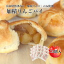 【7月10日だけ30%OFF】ごろっとりんごがたっぷり 加積りんごパイ 15個入 アップルパイ スイーツ お菓子 冠婚葬祭 父の日 お中元 御中元 お盆 夏ギフト 敬老の日 プレゼント ギフト 誕生日 お祝い お返し 会社 職場 大量 法人 お取り寄せ グルメ 機内食 加積りんご 個包装