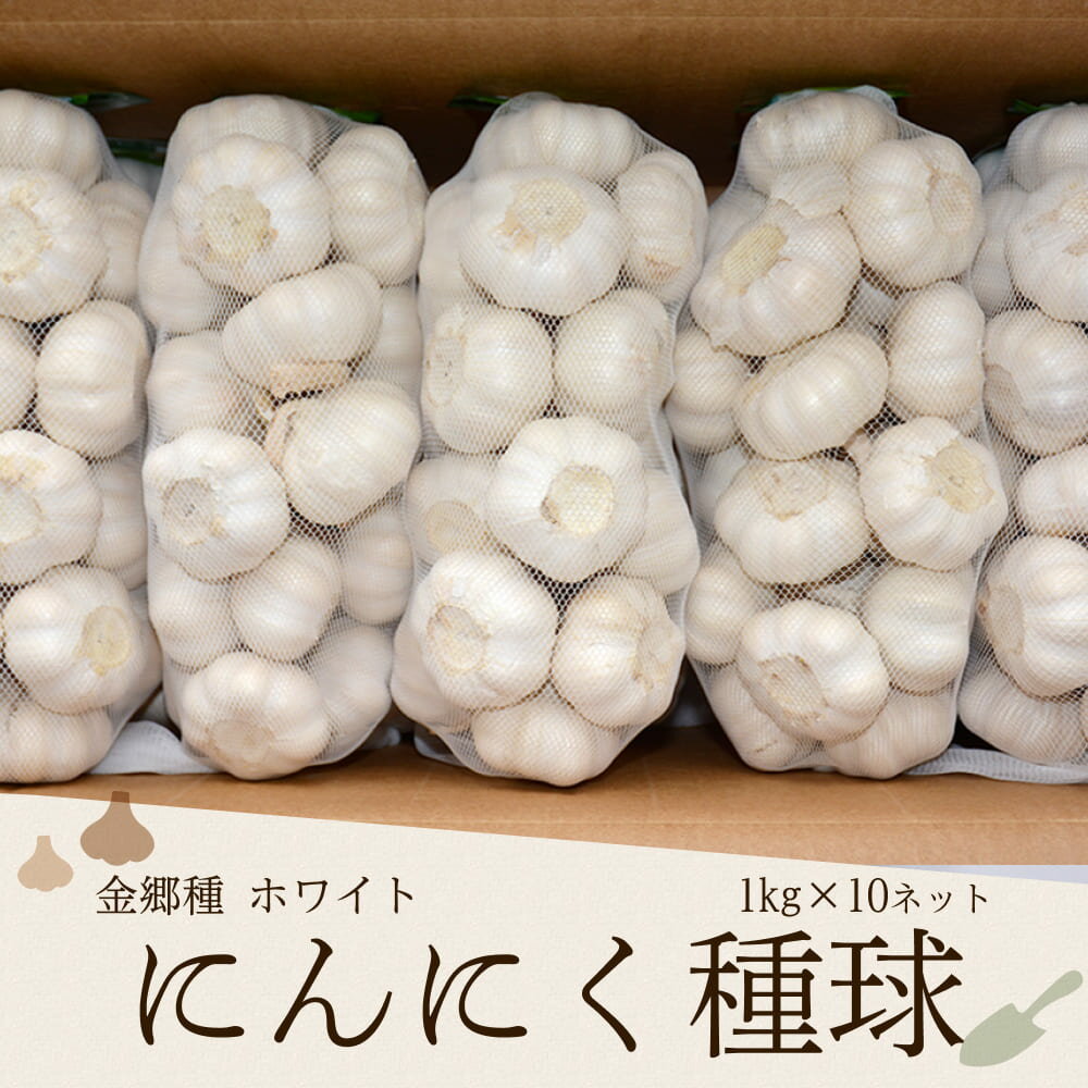 金郷種ホワイト にんにく種球 1kg×10ネット 中国産のサムネイル