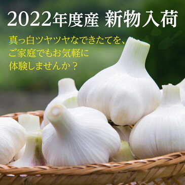 嘉定種ホワイトにんにく種球（特栽にんにく） 1kg×1ネット 中国産 [にんにく ニンニク]