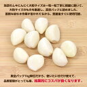 冷蔵 中国産 ムキにんにく 大粒サイズ 1kg×10パック 真空パック 3