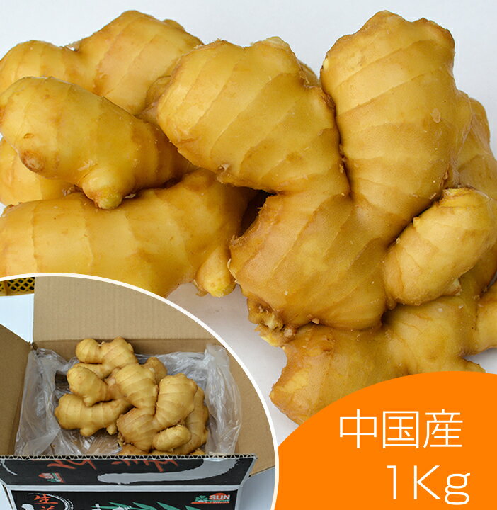 食用 中国産 黄金生姜 1kg（近江生姜 黄色）