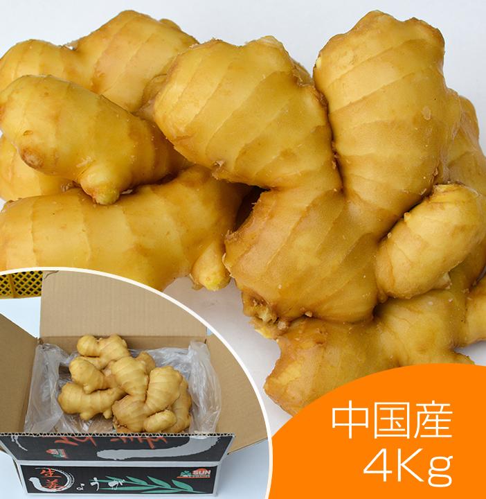 食用 中国産 黄金生姜 4kg（近江生姜 黄色）