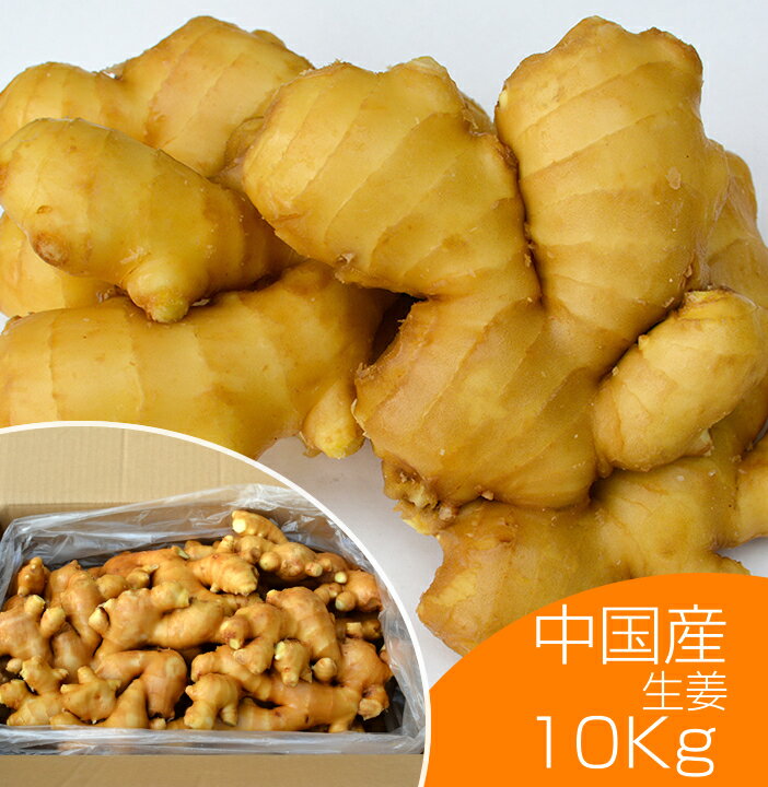 【食用】中国産 黄金生姜 10kg（近江生姜 黄色） 【富里出荷】