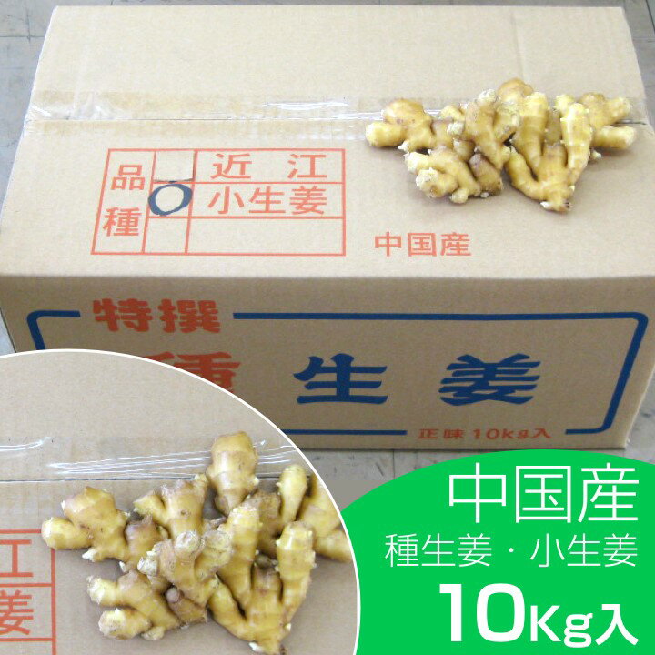 楽天市場】三州生姜種の通販 楽天市場】三州生姜種の通販