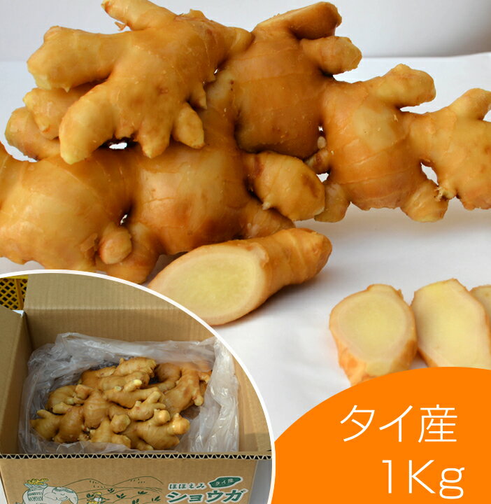 食用 タイ産ほほえみショウガ 1kg（近江生姜 白） 1