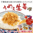 うめぇ生姜エコパック(鰹しそ梅)135g