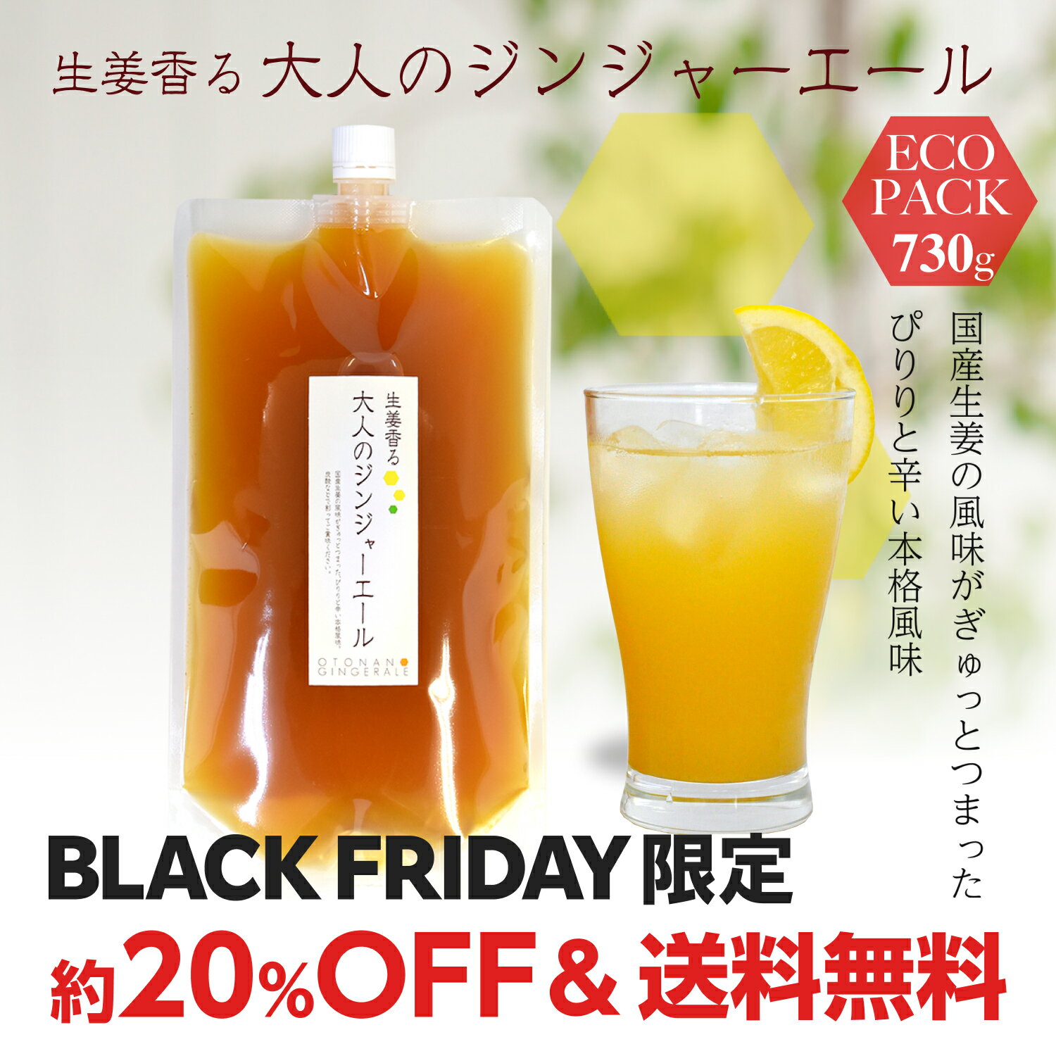 大人のジンジャーエールエコパック730g ゆうパケット送料無料[11スパイスコーラの日対象商品][ジンジャーエールシロップ]
