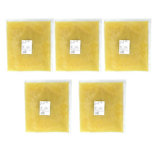 冷凍 生姜汁 1kg×5 高知県産 一次加工品 冷凍 生姜汁 1kg×5 高知県産 一次加工品