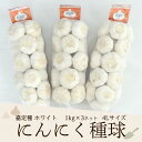 100ケース限定!種にんにく最安値!嘉定種ホワイトにんにく種球(3L) 1kg×3ネット 中国産(特栽にんにく)