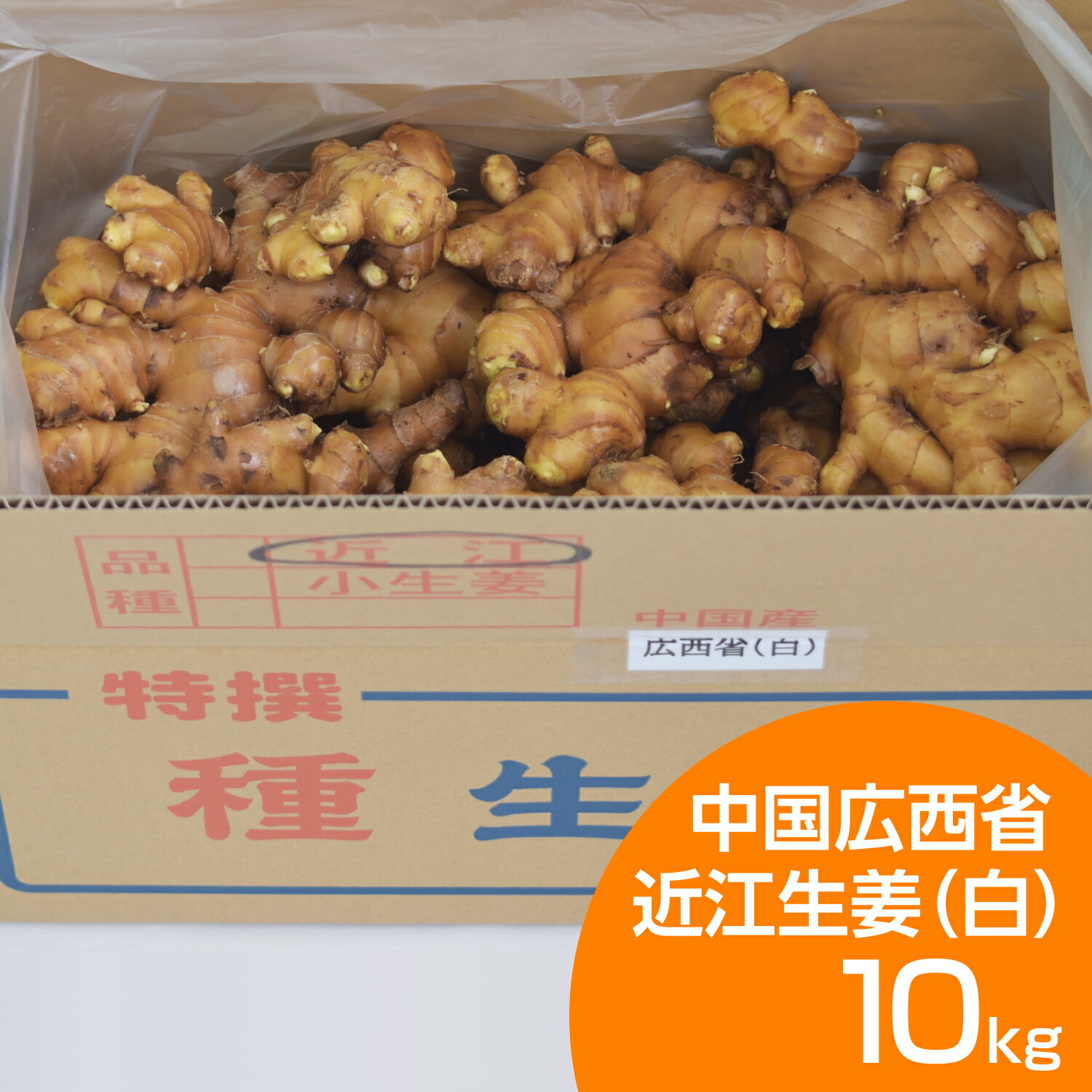 楽天市場】種 生姜 10kgの通販 楽天市場】種 生姜 10kgの通販