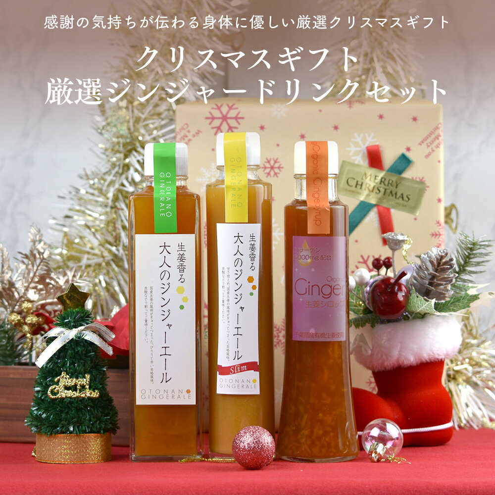 クリスマスギフト 厳選ジンジャードリンクセット 送料無料(沖縄を除く)【クリスマスギフト】