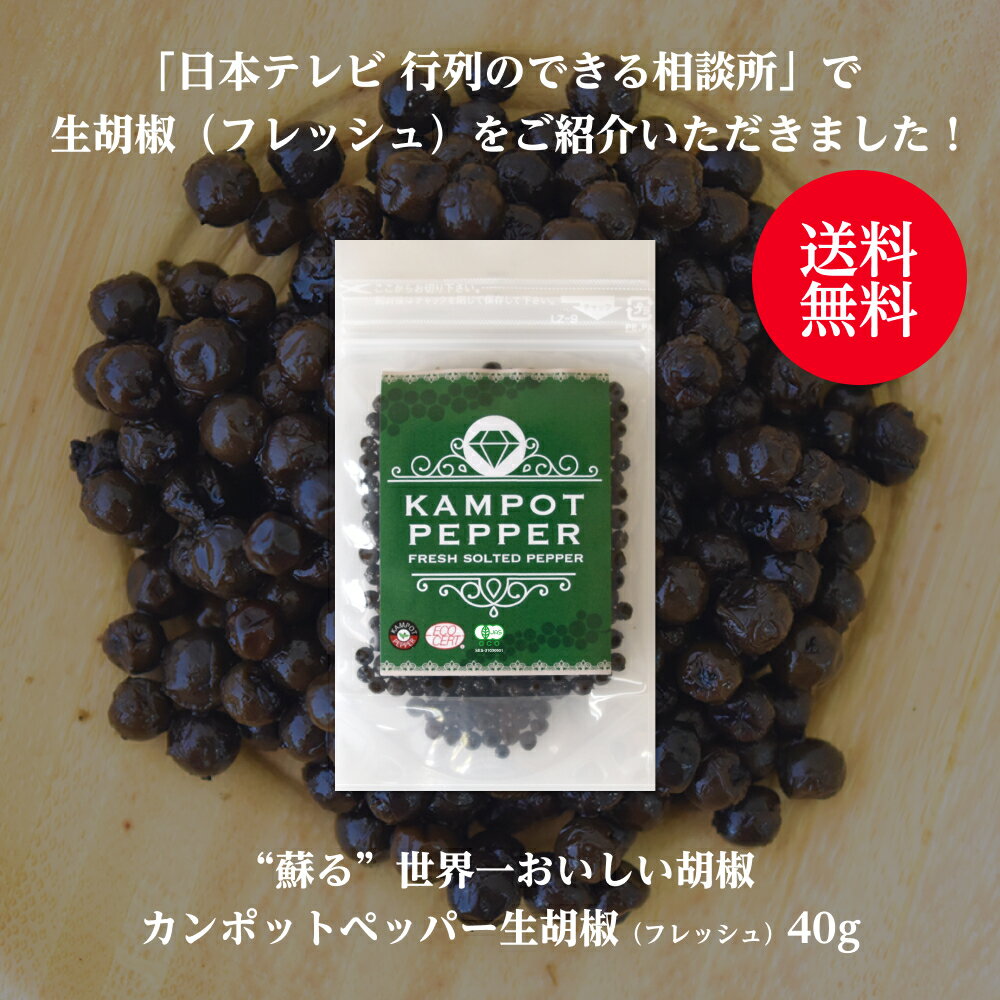 ブラック ペッパー パウダー 粉末 メッシュ60 500g ハーブ ティー ポプリ 種 コショウ 胡椒 黒胡椒 pepper こしょう ぶらっくぺっぱー ブラックペッパー