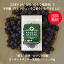 カンポットペッパー 生胡椒（Fresh・フレッシュ） 40g 1袋 ゆうパケット送料無料[サンフレッ ...