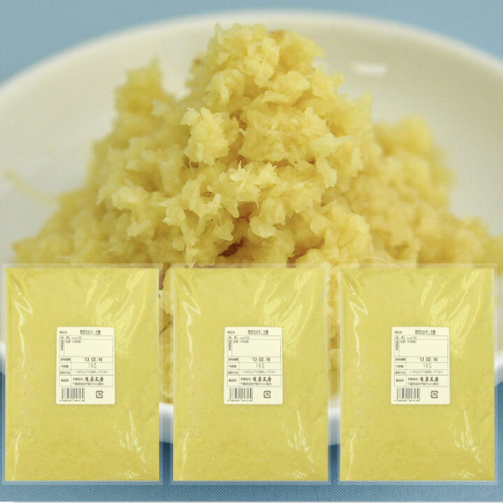 冷凍 おろし生姜 1kg×3 中国産 一次加工品