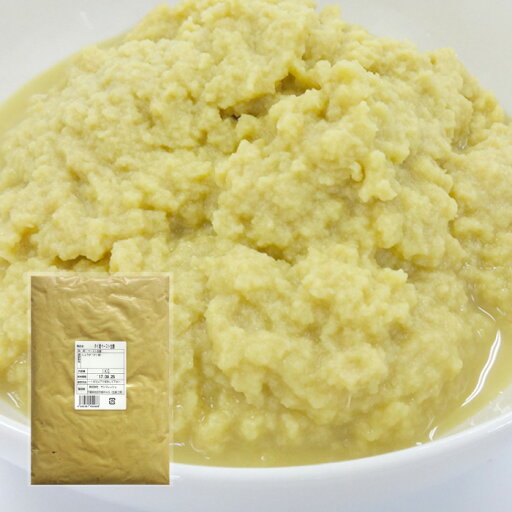 冷凍 ペースト生姜 1kg×10 タイ産 冷凍 ペースト生姜 1kg×10 タイ産