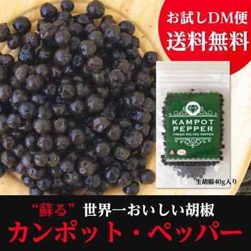 カンポット・ペッパー 生胡椒 40g 1袋　クリックポスト 送料無料（配達日時指定・代引きは承れません）