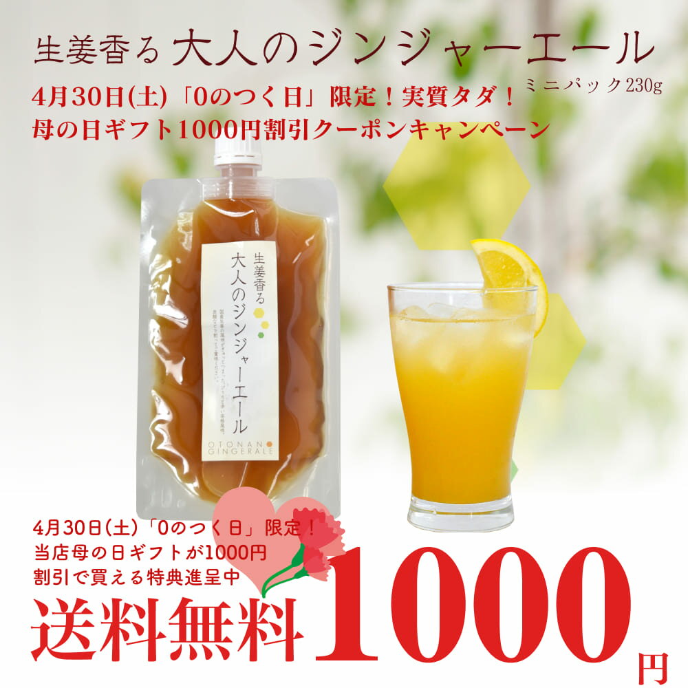 大人のジンジャーエール ミニパック230g ゆうパケット送料無料のサムネイル