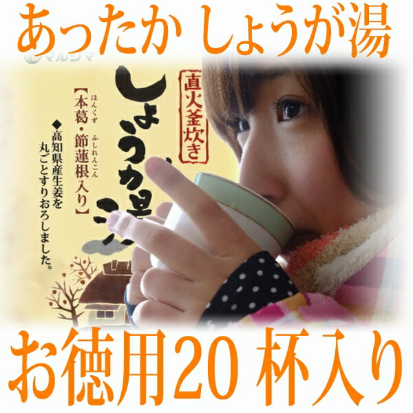 蒸し生姜湯 20包セット マルシマ しょうが湯 400g(20g×20袋) 高知県産生姜 ショウガ湯 種子島産 サトウキビ 国内産 しょうが