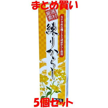 東京フード 厳選素材 練りからし チューブ入り 40g×5個セット　まとめ買い