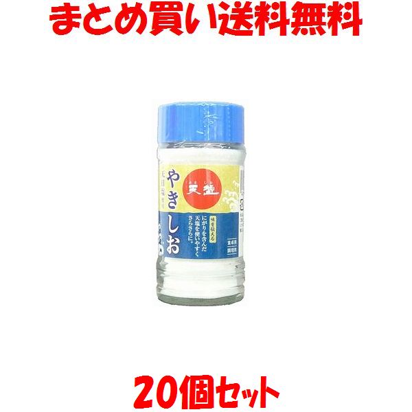 天塩 やきしお 天日塩 焼塩 にがり 卓上用 小ビン入 100g×20個セットまとめ買い送料無料