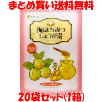 生姜湯マルシマ梅はちみつしょうが湯48g(12g×4包)