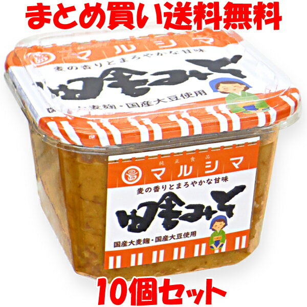 【ふるさと納税】 麦みそ 1kg ×4個 井伊商店 麦みそ 味噌 みそ 麦味噌 発酵 発酵調味料 調味料 麦 無添加 麹 こうじ 天然醸造 数量限定 国産 愛媛 宇和島 J010-108001