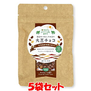 マルシマ 大豆チョコ【秋・冬期間限定】 40g×5袋セット ゆうパケット送料無料 ※代引・包装不可 差し入れ おすそ分け 義理チョコ