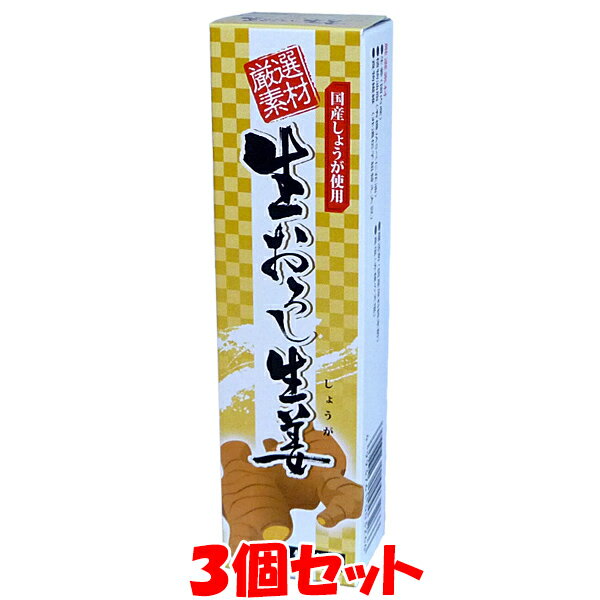 東京フード 生おろし生姜 厳選素材 おろししょうが 国産 しょうが 無着色 チューブ入 40g×3個セット ゆうパケット送料無料 ※代引・包装不可のサムネイル