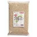 マルシマ 丸麦 国産 7分搗 大麦 はだか麦 食物繊維 麦ごはん 袋入 1kg