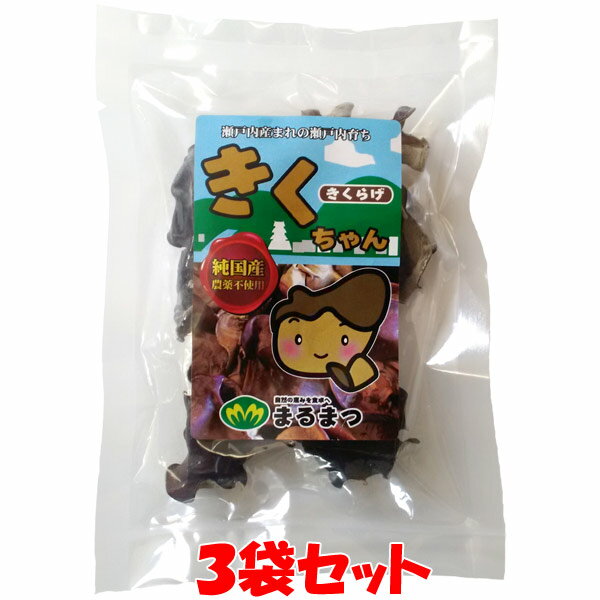 丸松アシスト きくちゃん きくらげ 乾燥きくらげ 木耳 国産 天日乾燥 袋入 10g×3袋セットゆうパケット送料無料 ※代引・包装不可 ポイント消化