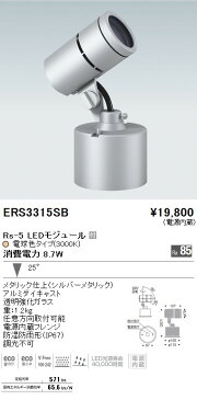 【メーカー在庫限り品】遠藤照明アウトドアスポットライト「ERS3315SB」（ENDO）【RCP】02P03Dec16