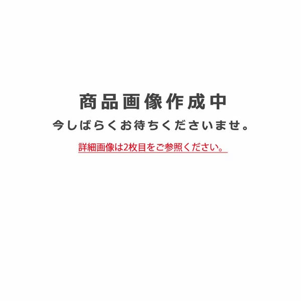 【関東限定販売】オーデリック「OG043061LR」LEDエクステリアライト／要工事