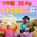 【送料無料】【令和元年度産】山形つや姫【20kg】　減農薬特別栽培米　1等米　　白米【農家直送！！　送料無料(一部追加あり】