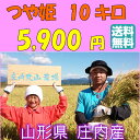 【送料無料】【令和3年度産】【10kg】山形つや姫　10kg　減農薬特別栽培米　1等米 白米 【農家直送！！　送料無料(一部追加あり】