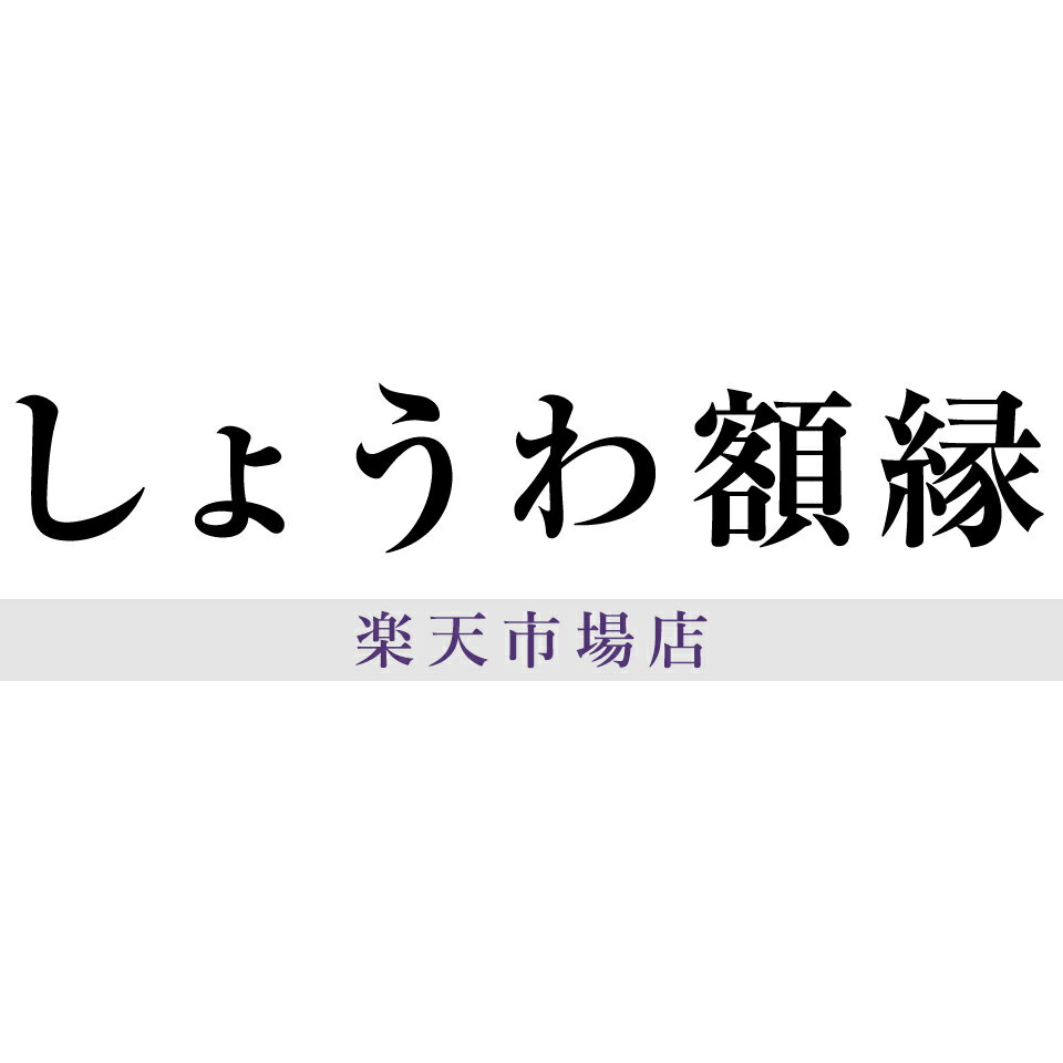 Shop icon
