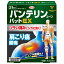 【第2類医薬品】興和 バンテリンコーワ パットEX 21枚 (外用鎮痛消炎薬) 【お一人様3点まで】