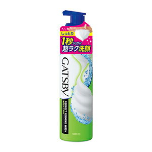 マンダム ギャツビー パーフェクト泡洗顔 しっとりタイプ 180g