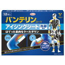 興和 バンテリンコーワ アイシングシート 12枚入 冷却専用